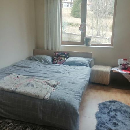 Apartment Dream Pamporovo Ngoại thất bức ảnh